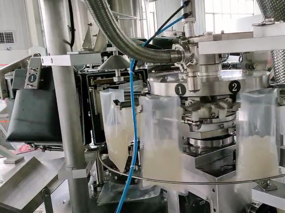 給袋式全自動真空包裝機