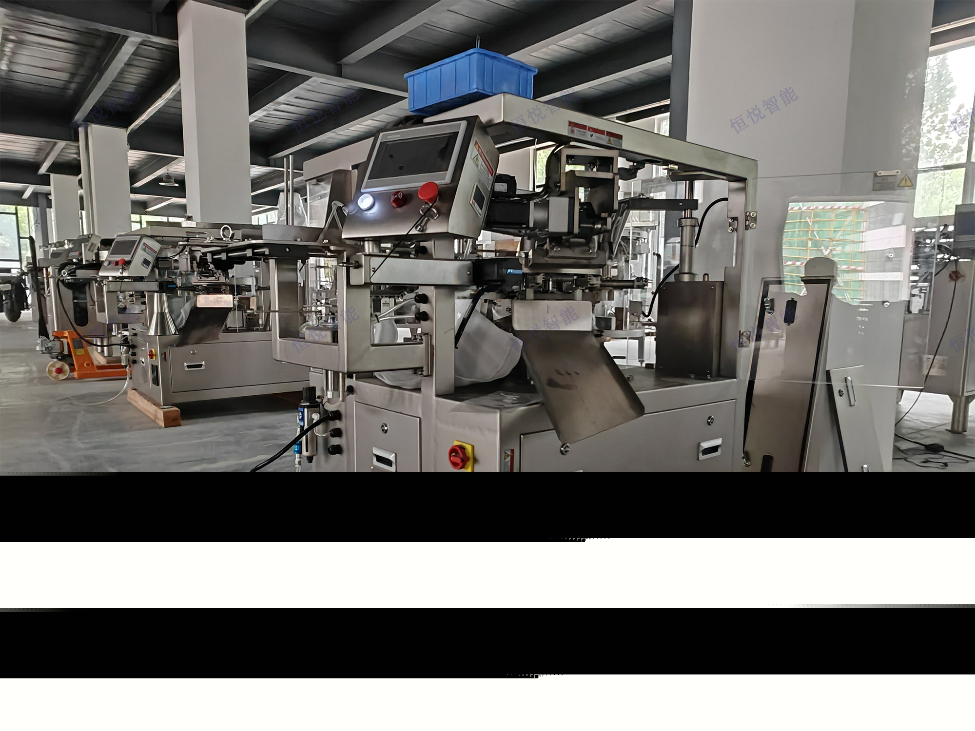 給袋式粉劑包裝機