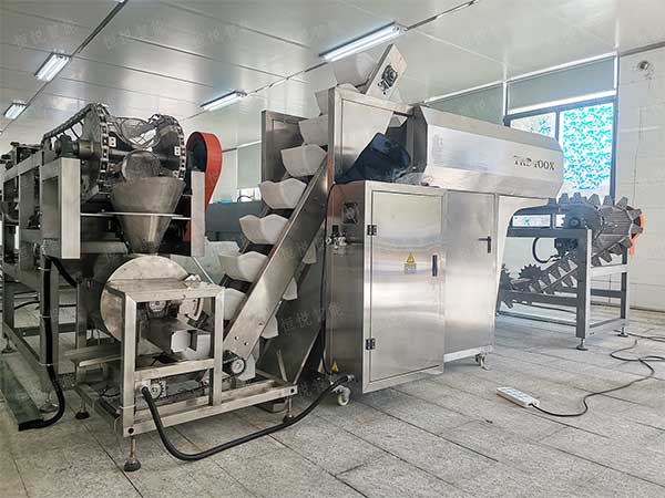 土豆粉包裝機定向開發專用設備